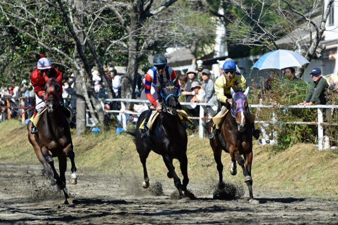japan 関西の競馬完全ガイド 阪神・京都競馬場のG1レース