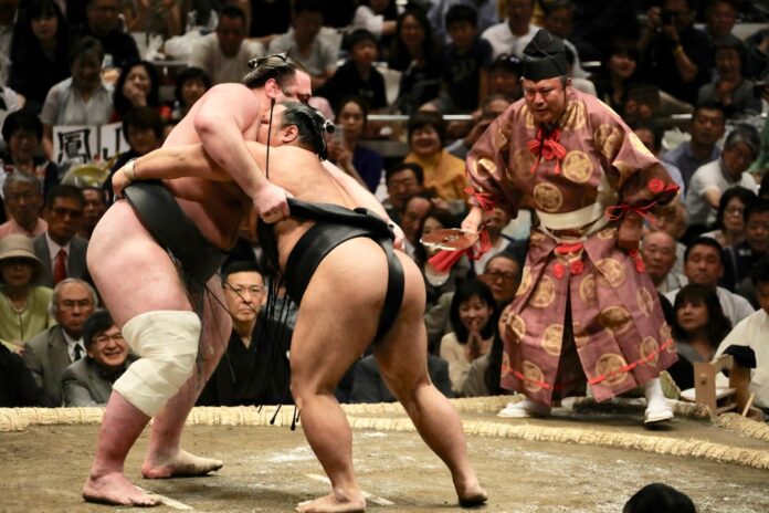 sumo wrestler japan fighting