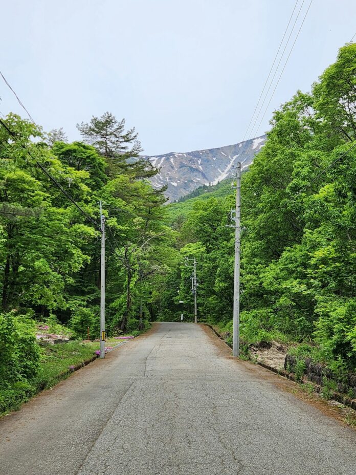 japan 北海道・東北のマラソン大会完全ガイド 爽快な大自然の中で走る