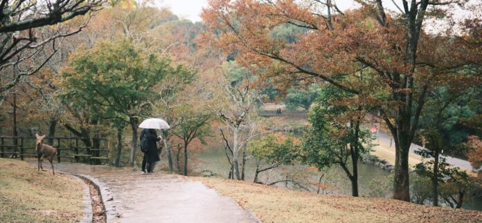 japan weather 秋晴れの日に歩きたい、紅葉と小道の旅