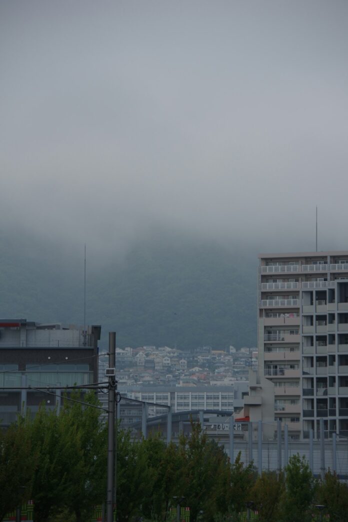japan weather 日本和果子完全指南