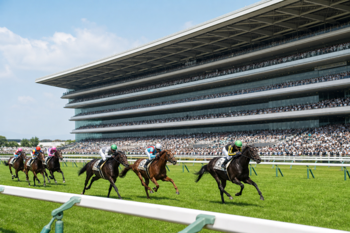 Thoroughbred race at a major Japanese racecourse