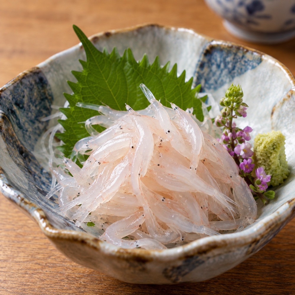 富山湾白虾